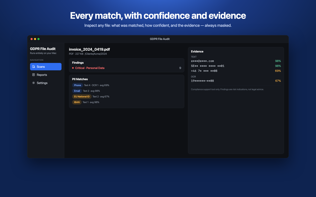 File inspector showing PII matches with confidence and masked evidence